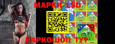 ешки Можга