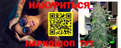 Альфа ПВП Моздок