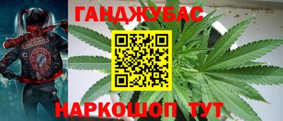 ешки Можга