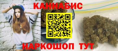 Альфа ПВП Моздок
