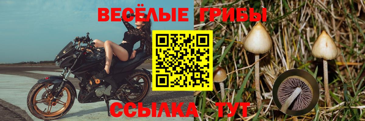 Псилоцибиновые грибы мухоморы Урай
